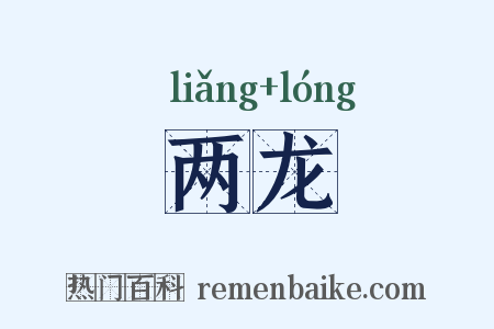 两龙是什么意思的图片